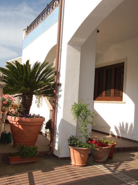 B&B Minerva Castro  Exteriör bild